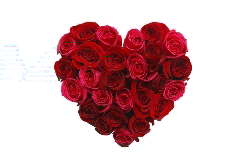 rose heart